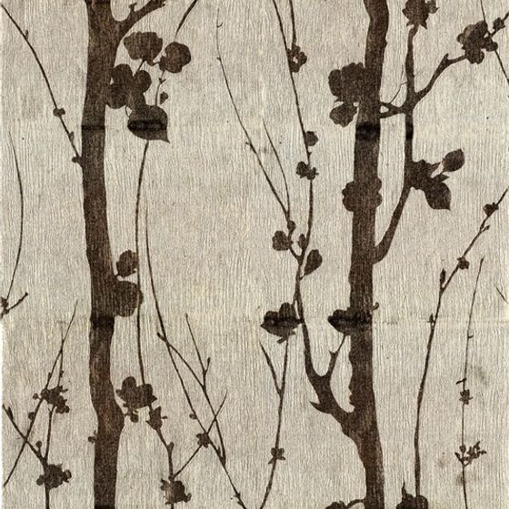 Winter Tree Shadows 3D model for Creative Projects