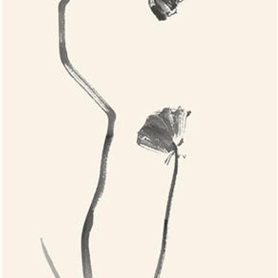 Lotus Leaf and Stem Low Poly 3D model