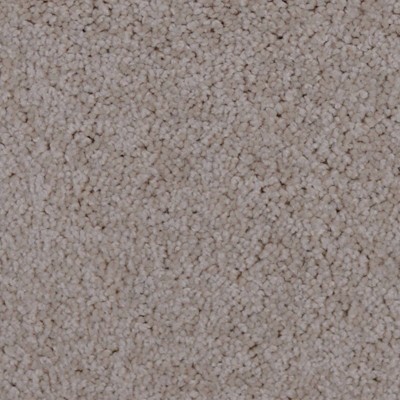 Cozy Carpet 3D Model