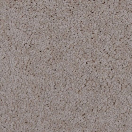 Cozy Carpet 3D Model