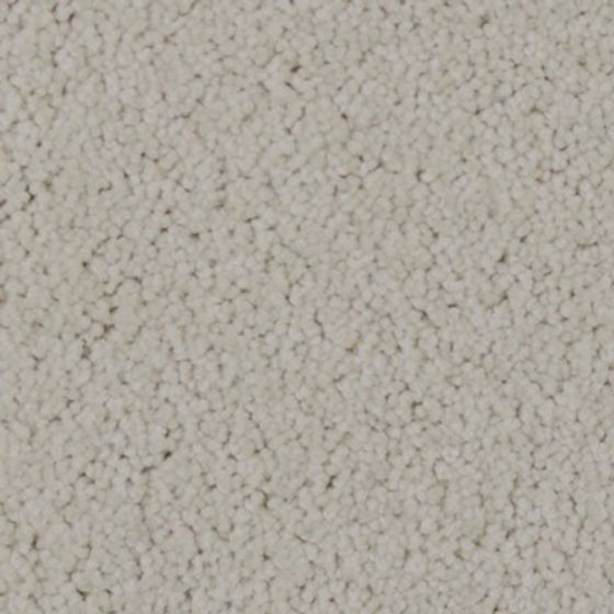 Soft Touch Modern Carpet 3D Model