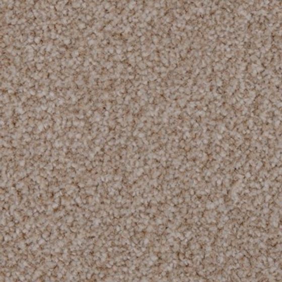 Cozy Carpet 3D model for Modern Spaces