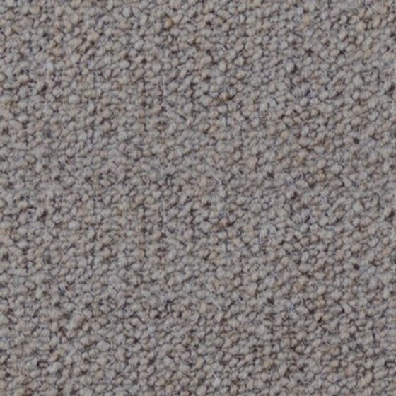 Cozy Carpet 3D Model