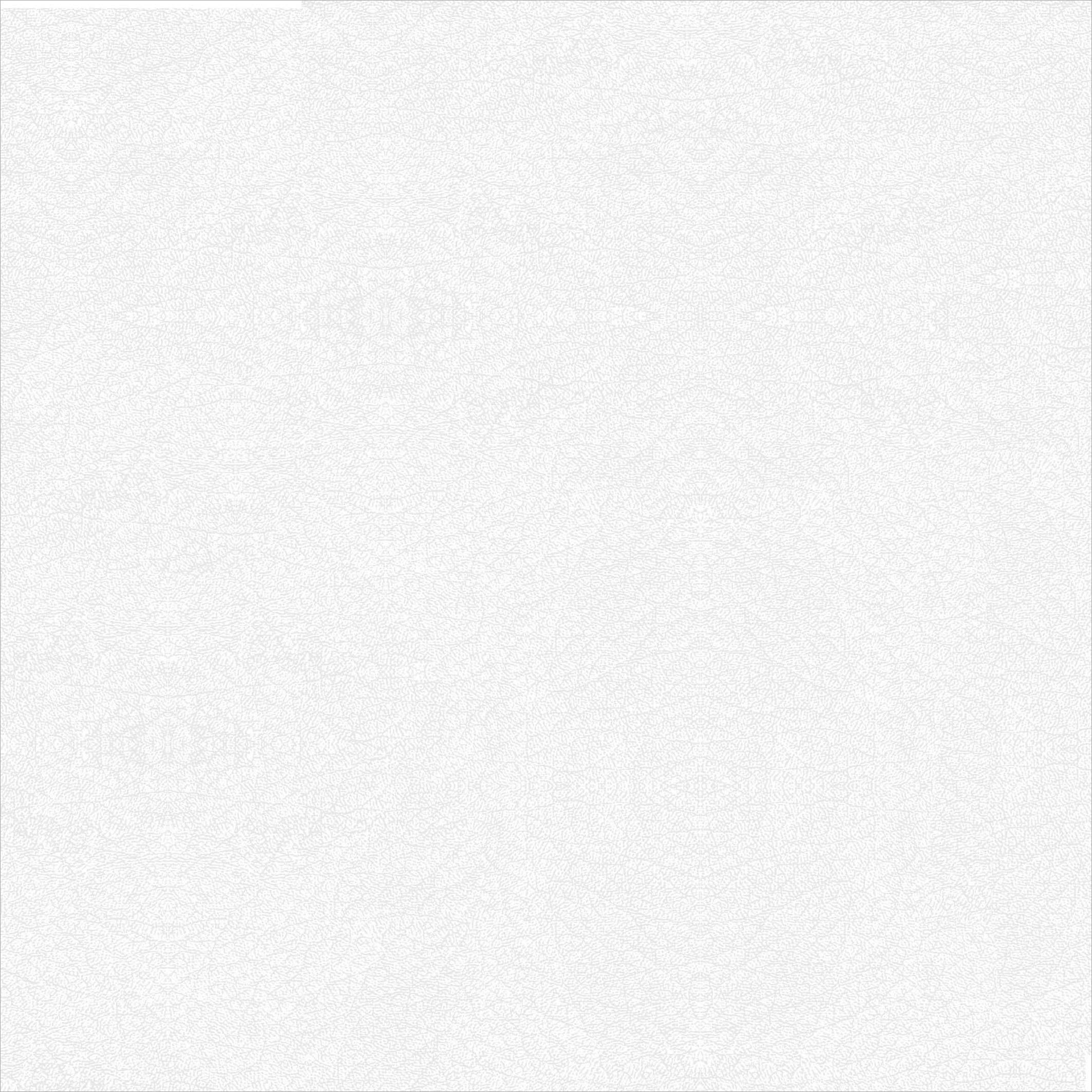 (Character) Matte White PG450T6-GT00