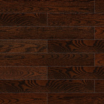 -Elephant floor.-NAN8178.