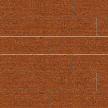 CME6005 Brazil hematoxylin