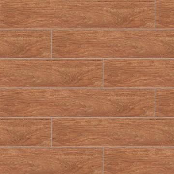 CMD8502 North Locust