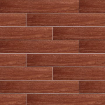 CMD159007 African iron wood beans.