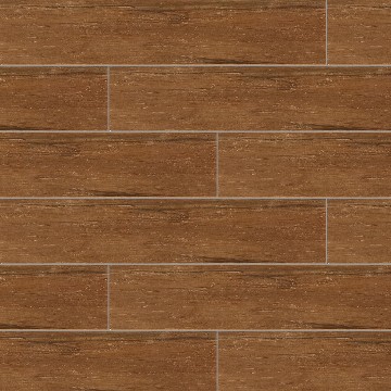 CMD10036 North Walnut Catalpa No. 1