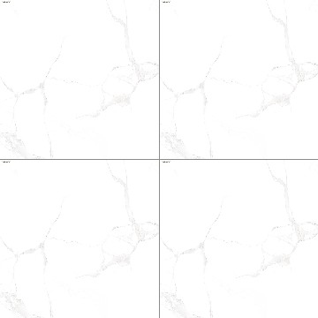 Céramique-8YD81108-Paysage Romain Blanc