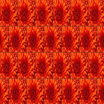 Four hundred fifty six