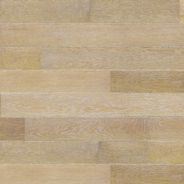 Big ray-floor-CO_2_Frontal