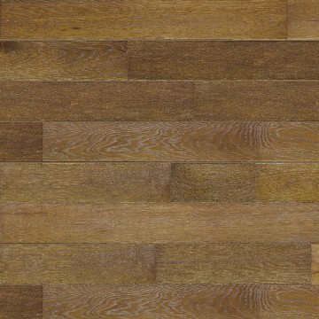 Big ray-floor-CO_2_Frontal-3