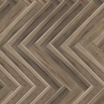 Santa like floor-official-PL2885 the magic box