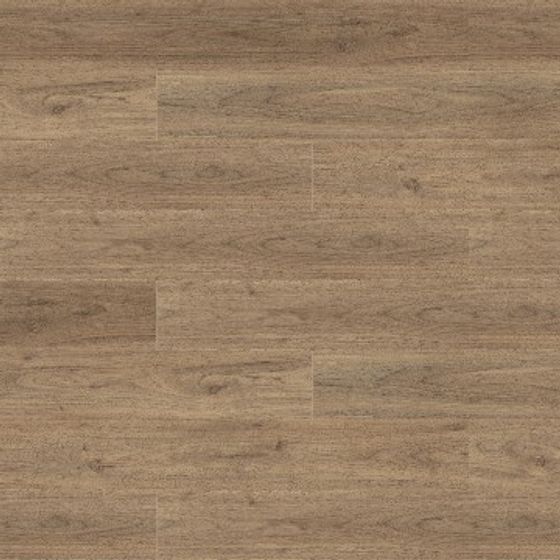 Modern Others,Earth color