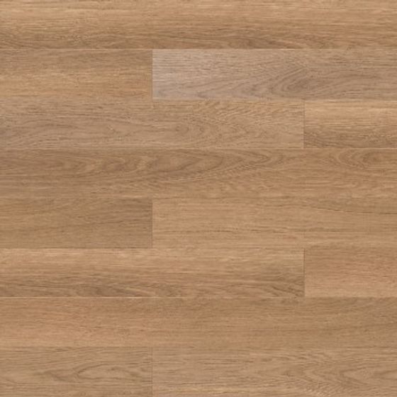 Natural Elegance Wooden Flooring 3D model