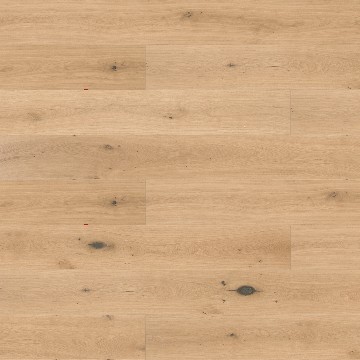 TSP127- Distinguished White Oak