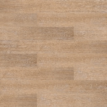 SK0522- California oak